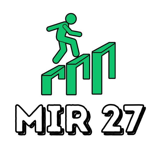 MIR 2027